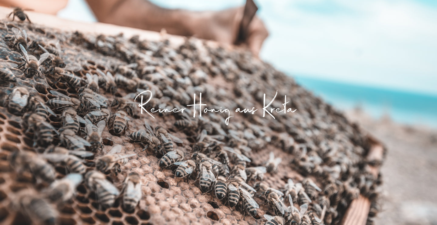 Honig aus Kreta