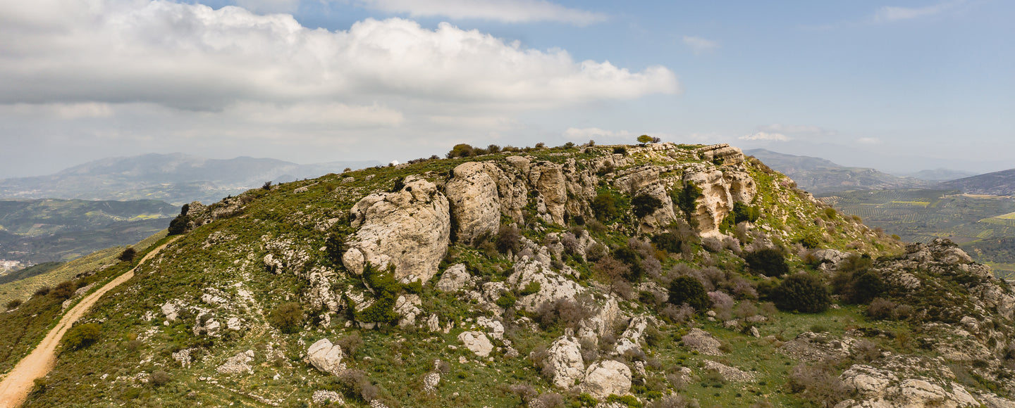 Echte Wildkräuter von den Bergen Kretas